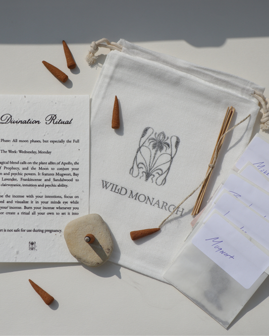 Ritual DIY Incense Kit